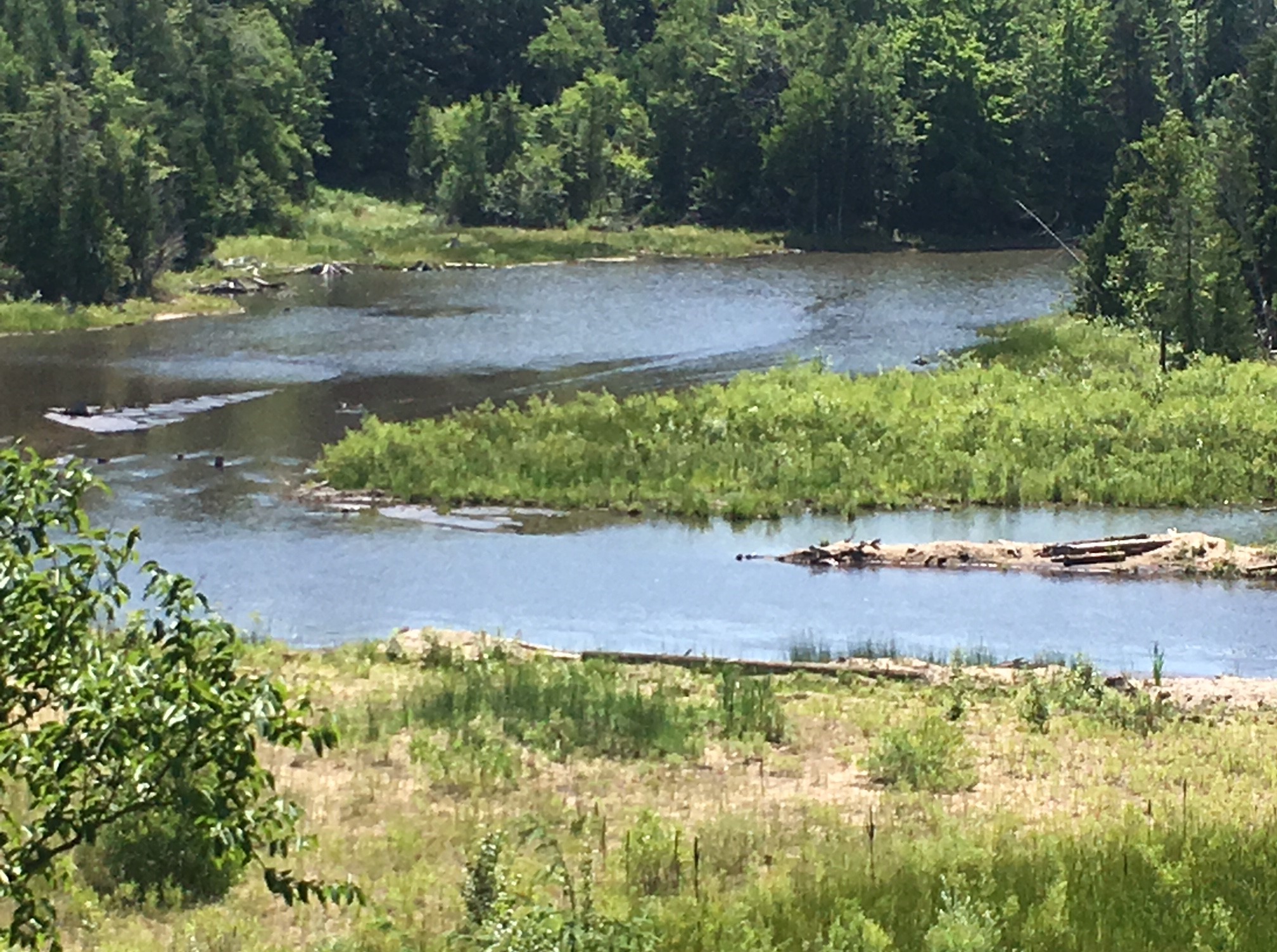 The Boardman River – frsnaturalist